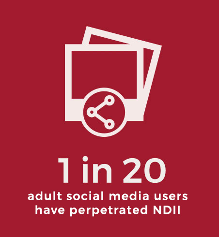 One in twenty adult social media users have perpetrated N.D.I.I.